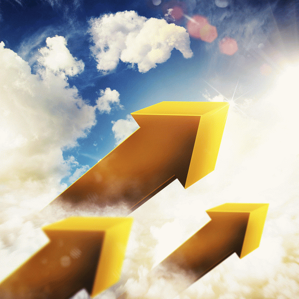 19 نکته کلیدی در مورد واکسیناسیون گربه‌ها